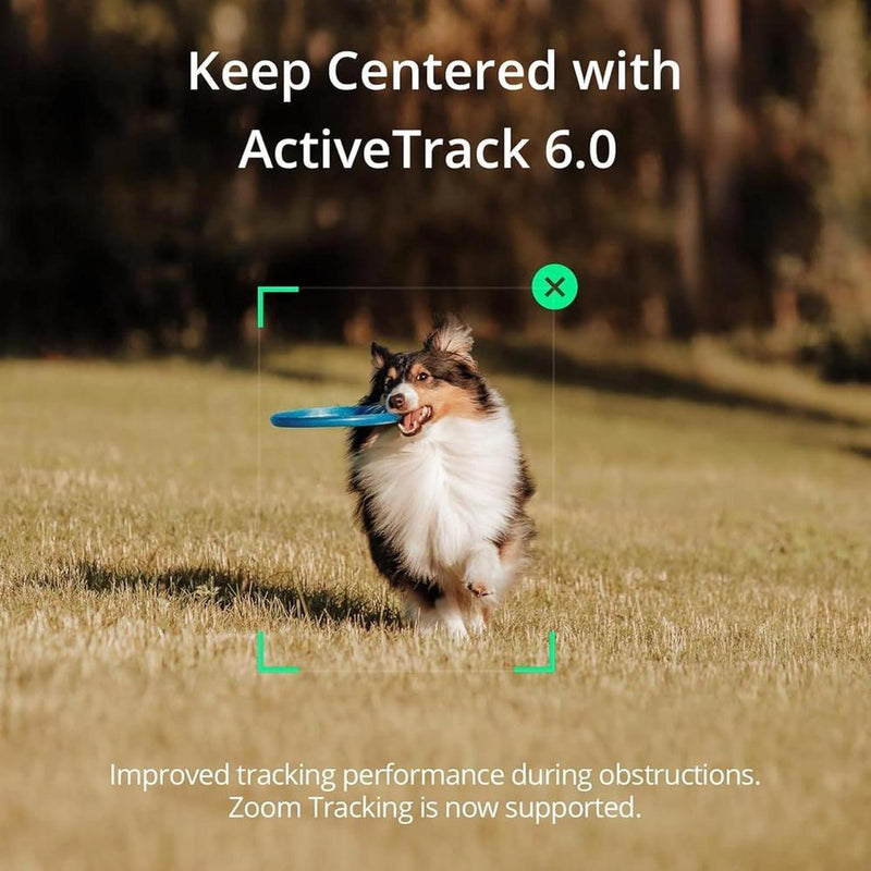 DJI Osmo Mobile SE, cardán de teléfono de 3 ejes compatible con iPhone y Android, trípode y selfie stick integrados, ActiveTrack 6.0