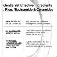 ANUA Suero Hidratante Facial Rice Ceramide 7 Con Ácido Hialurónico Y Niacinamida 50ml