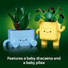 LEGO Botanicals Happy Plants para niños de 9+ - Decoración para escritorio - Regalo perfecto para jóvenes aficionados a las plantas