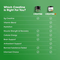 Optimum Nutrition Creatina Micronizada Monohidratada en Polvo, Sin Sabor, para Crecimiento y Energía Muscular, 120 Porciones