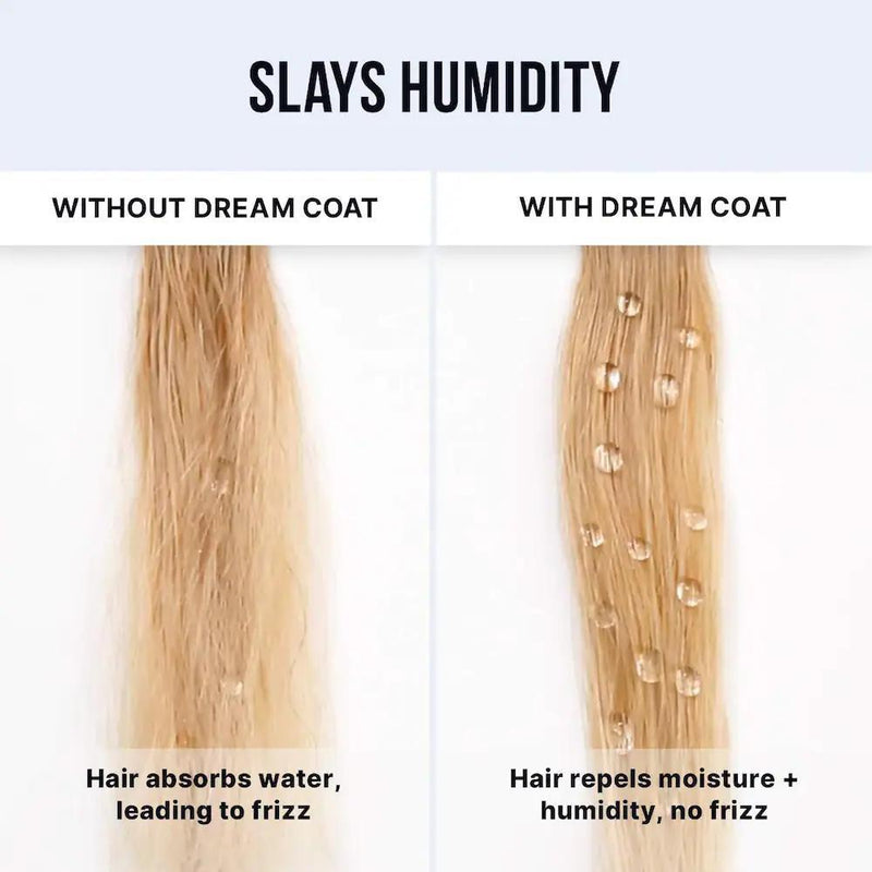 Dream Coat Set de Regalo Dúo Capilar Iconic Frizz Fighters