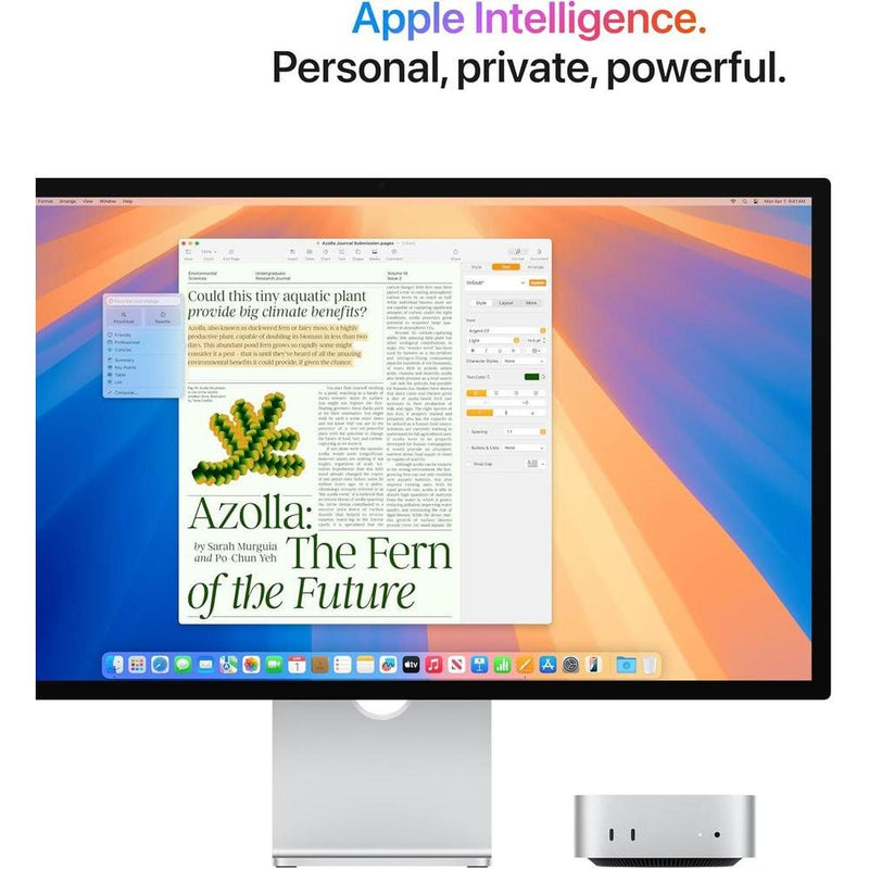 Mac Mini M4