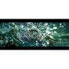 Citizen Eco-Dive Promaster Dive, reloj de pulsera de acero inoxidable plateado para hombre con esfera verde, 3 manecillas y calendario