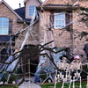 Telaraña de Halloween con araña gigante, espeluznante decoración para exteriores e interiores, ideal para fiestas
