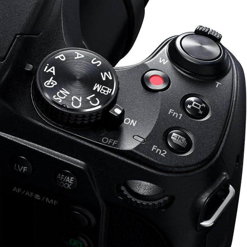 Panasonic LUMIX FZ80D Cámara compacta con zoom óptico 60x, video 4K y estabilizador de imagen óptica de potencia
