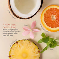 Shampoo Hidratante Ligero