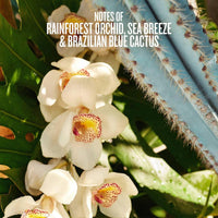 Refresco Paraíso Hair & Body Perfume Mist