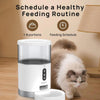 Alimentador automático inteligente Living Enrichment para gatos y perros, control WiFi y aplicación, capacidad de 4 litros