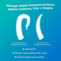 K18 Damage Shield Set: champú y acondicionador, protección para color, reduce encrespamiento y enredos