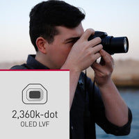 Panasonic LUMIX FZ80D Cámara compacta con zoom óptico 60x, video 4K y estabilizador de imagen óptica de potencia