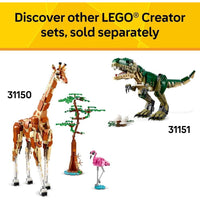 LEGO Creator Juguete medieval 3 en 1 con dragón, serpiente marina y fénix para niños y niñas