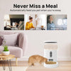 Alimentador automático inteligente Living Enrichment para gatos y perros, control WiFi y aplicación, capacidad de 4 litros