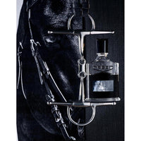 CREED Aventus Eau de Parfum for Men