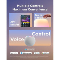 Lámpara de Pie Govee Lantern con Iluminación RGBIC, Compatible con Matter, Modos de Escena, Sincronización Musical