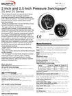 20PE-100 (05703176): Pressure Swichgage®