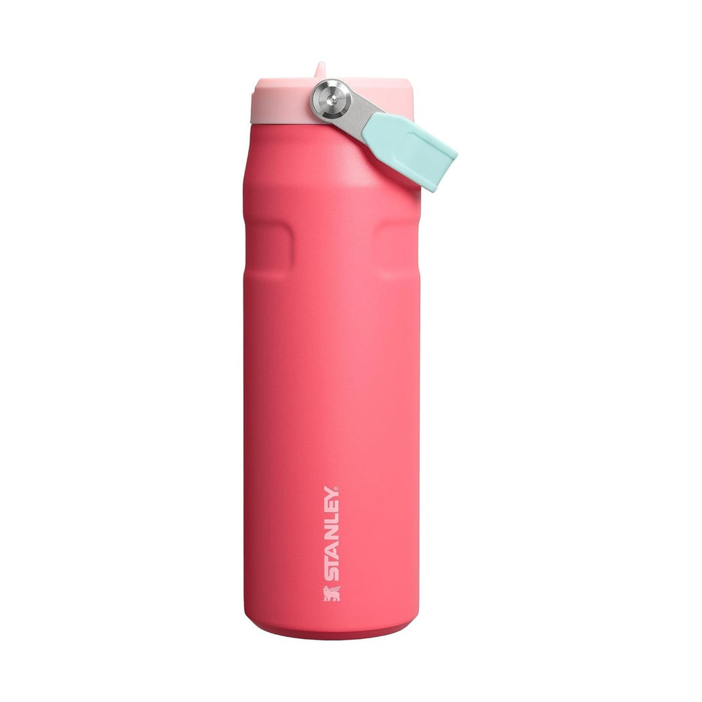 Stanley IceFlow Flip Straw 2.0 - Watermelon