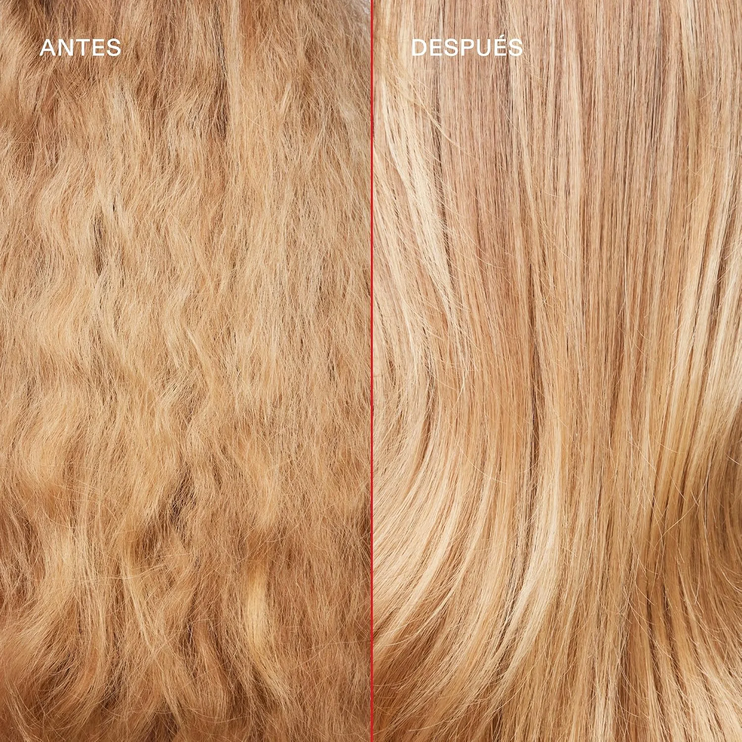 Olaplex Wash & Shine Hair Kit