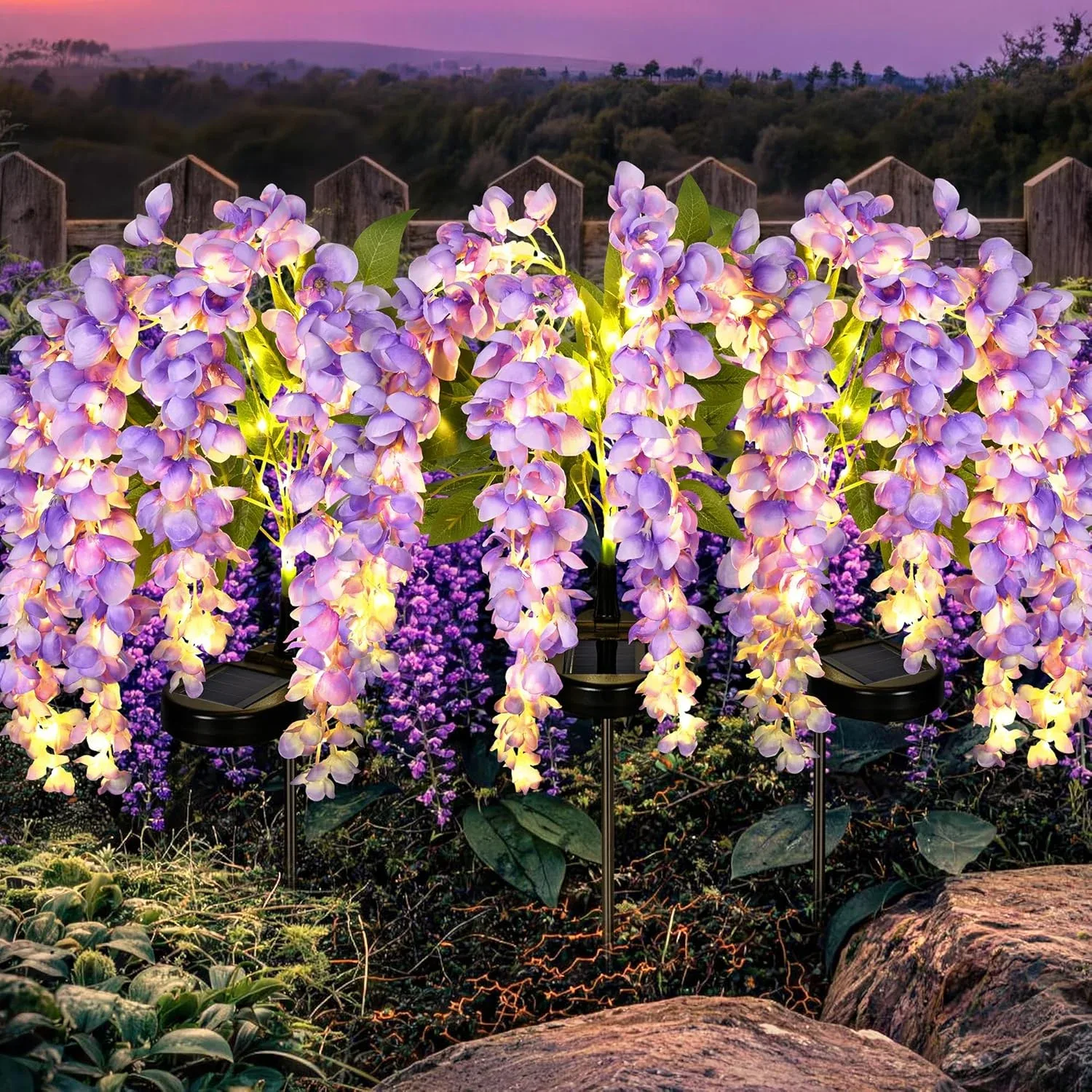 GIGALUMI 3 Pack Solar Wisteria Flowers Outdoor, 2 Modes, Purple