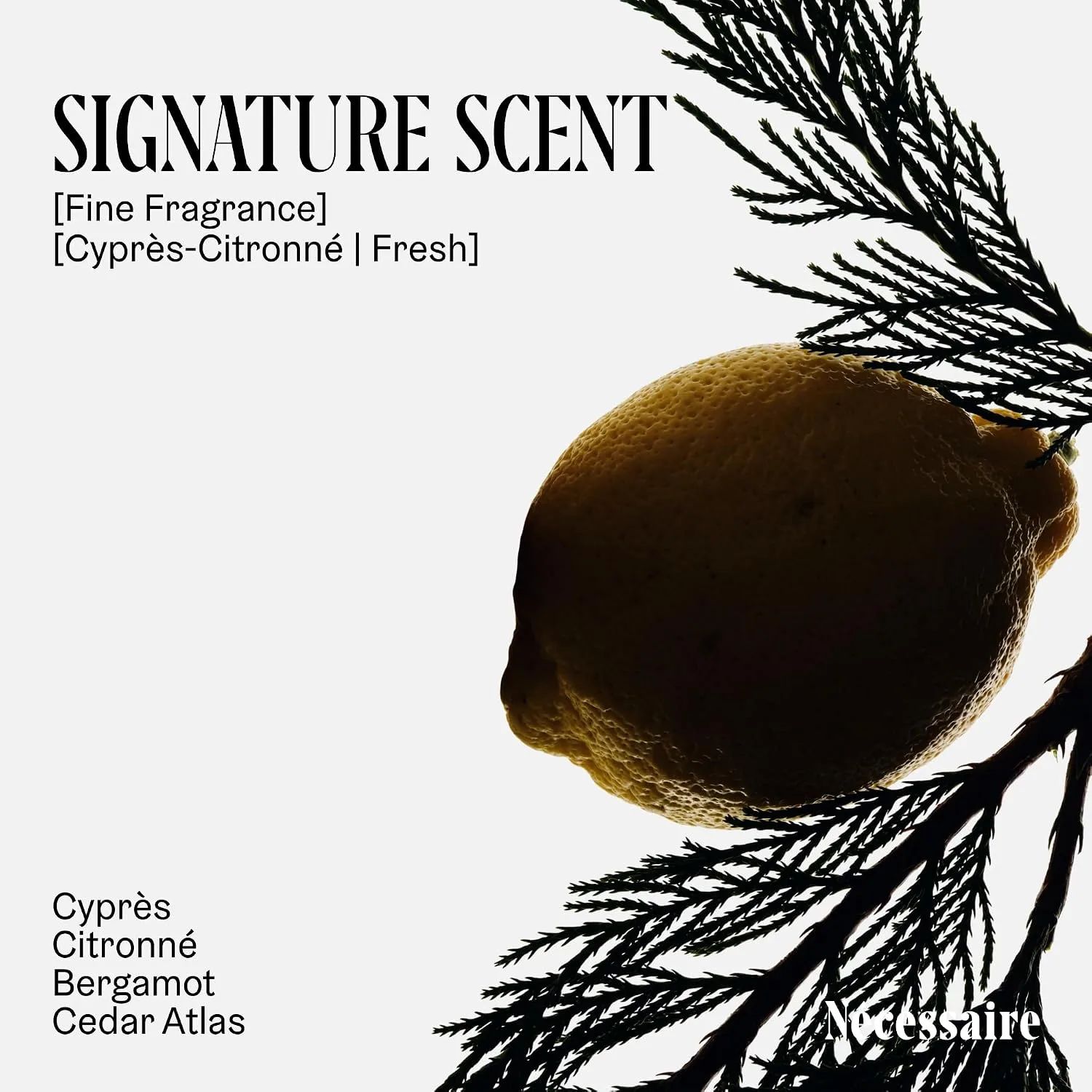 The Body Lotion Cyprès-Citronné. Firming Body Lotion for With Niacinamide