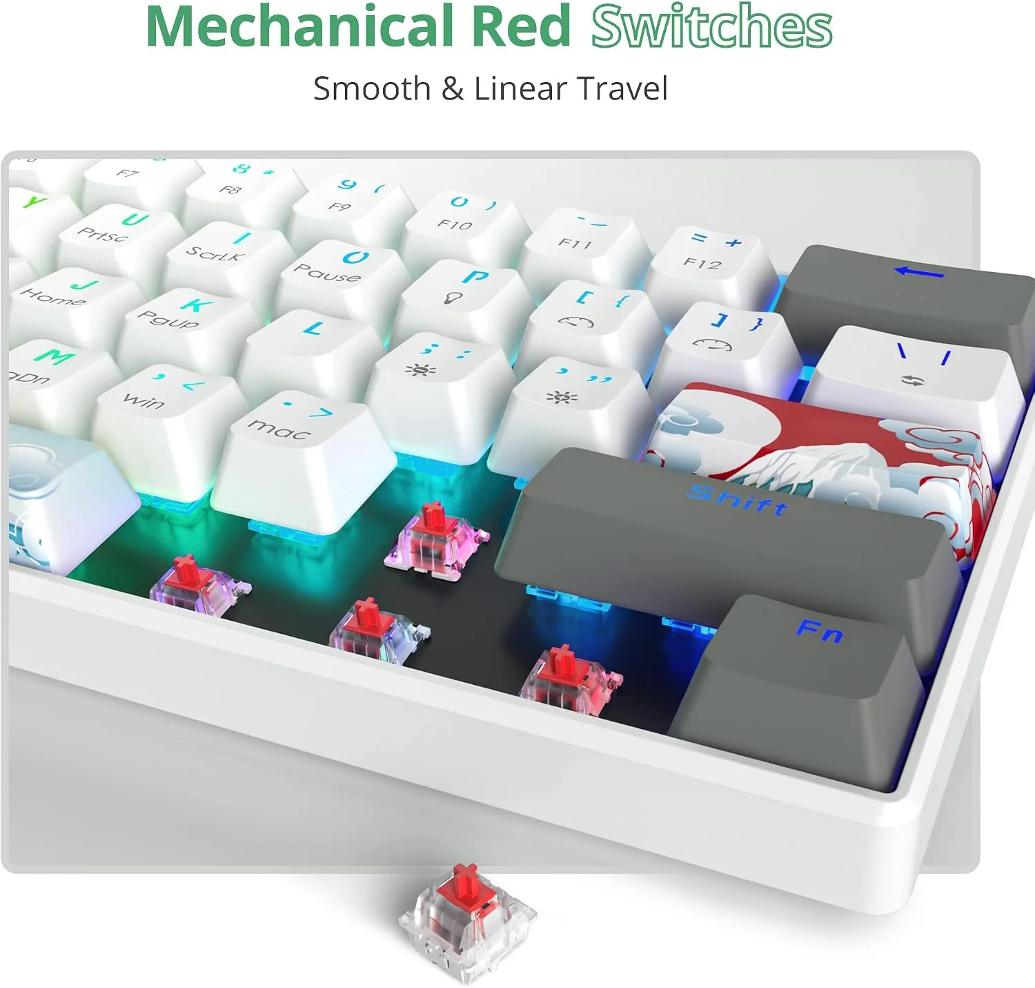 Owpkeenthy RGB Mechanical Keyboard 60 Percent Red Switches