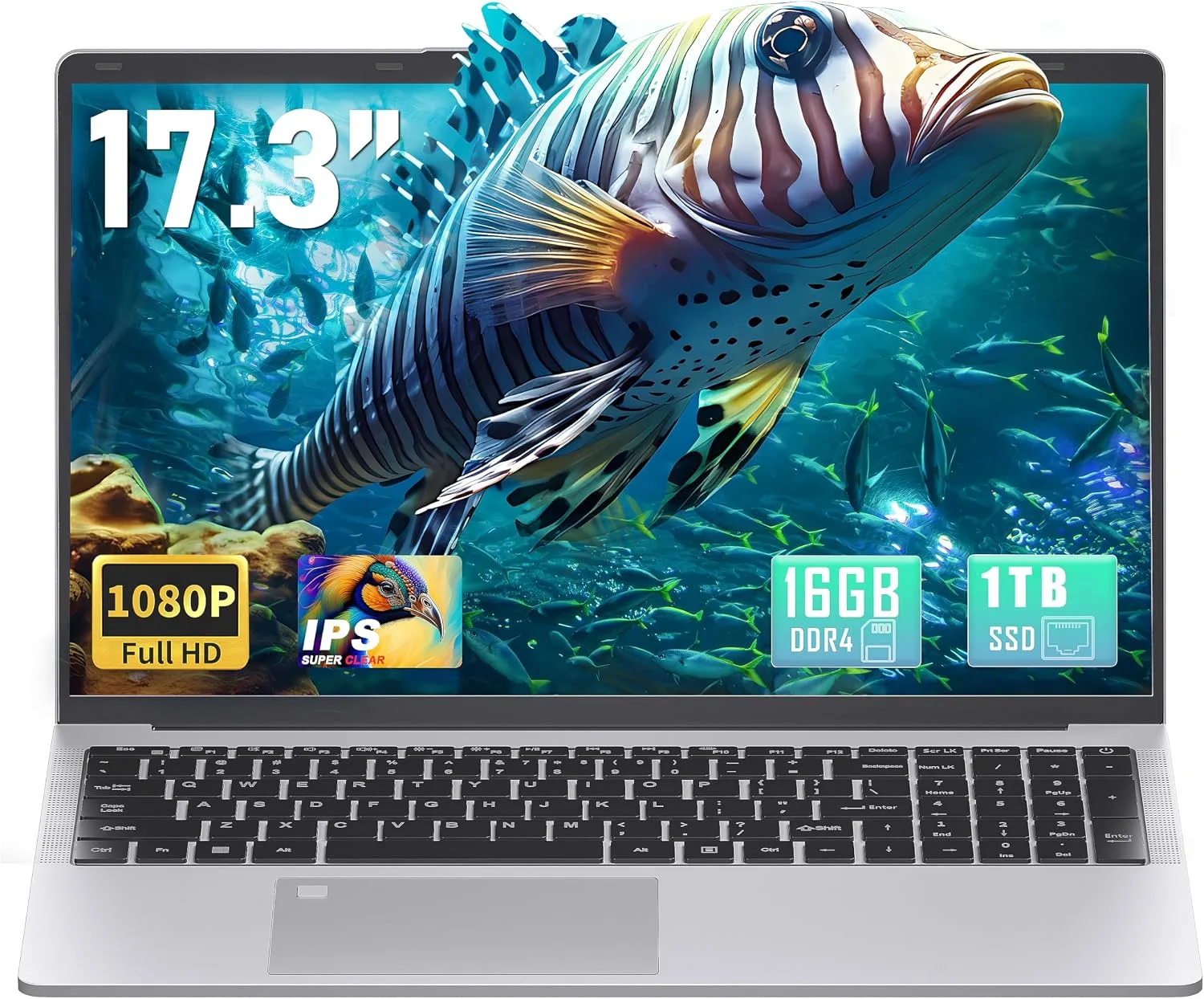 Laptop Svikou 17.3" Full HD IPS 16GB RAM 1TB SSD Plata