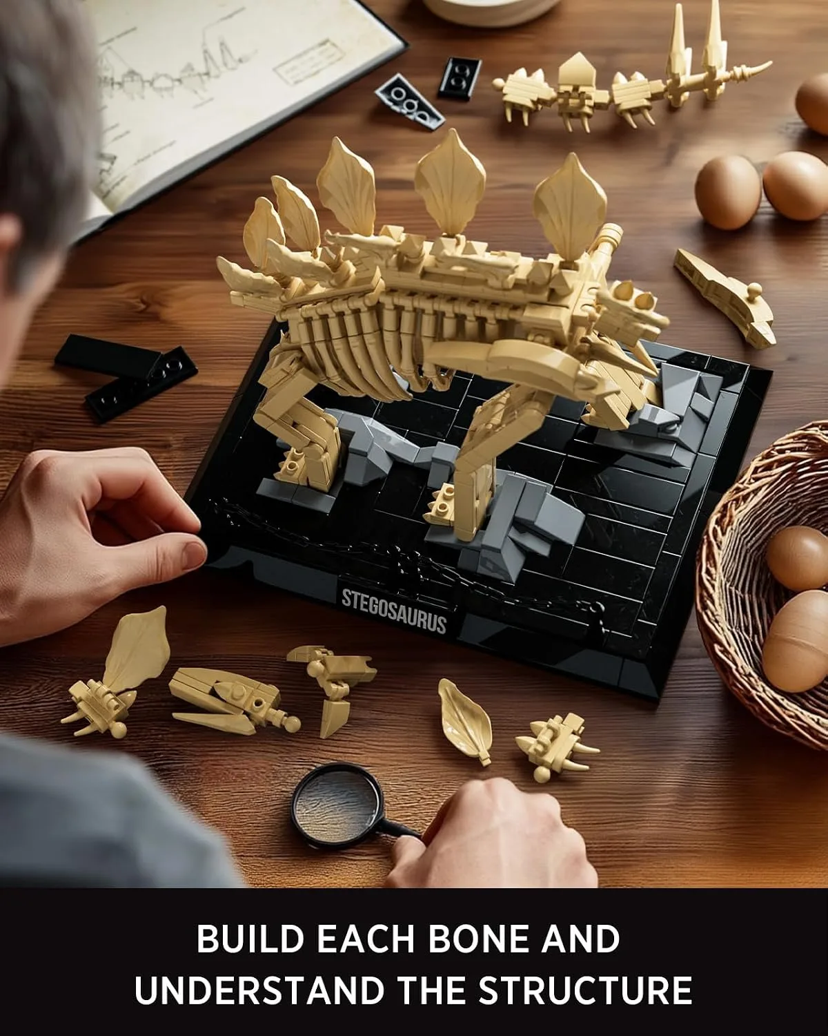 Nifeliz Stegosaurus Dinosaur Fossil Building Set, NF10353
