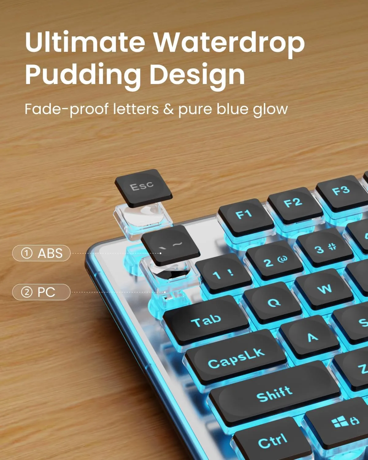 Wired Keyboard with Blue Backlit, Never Fade, Soft Click Typing, Black