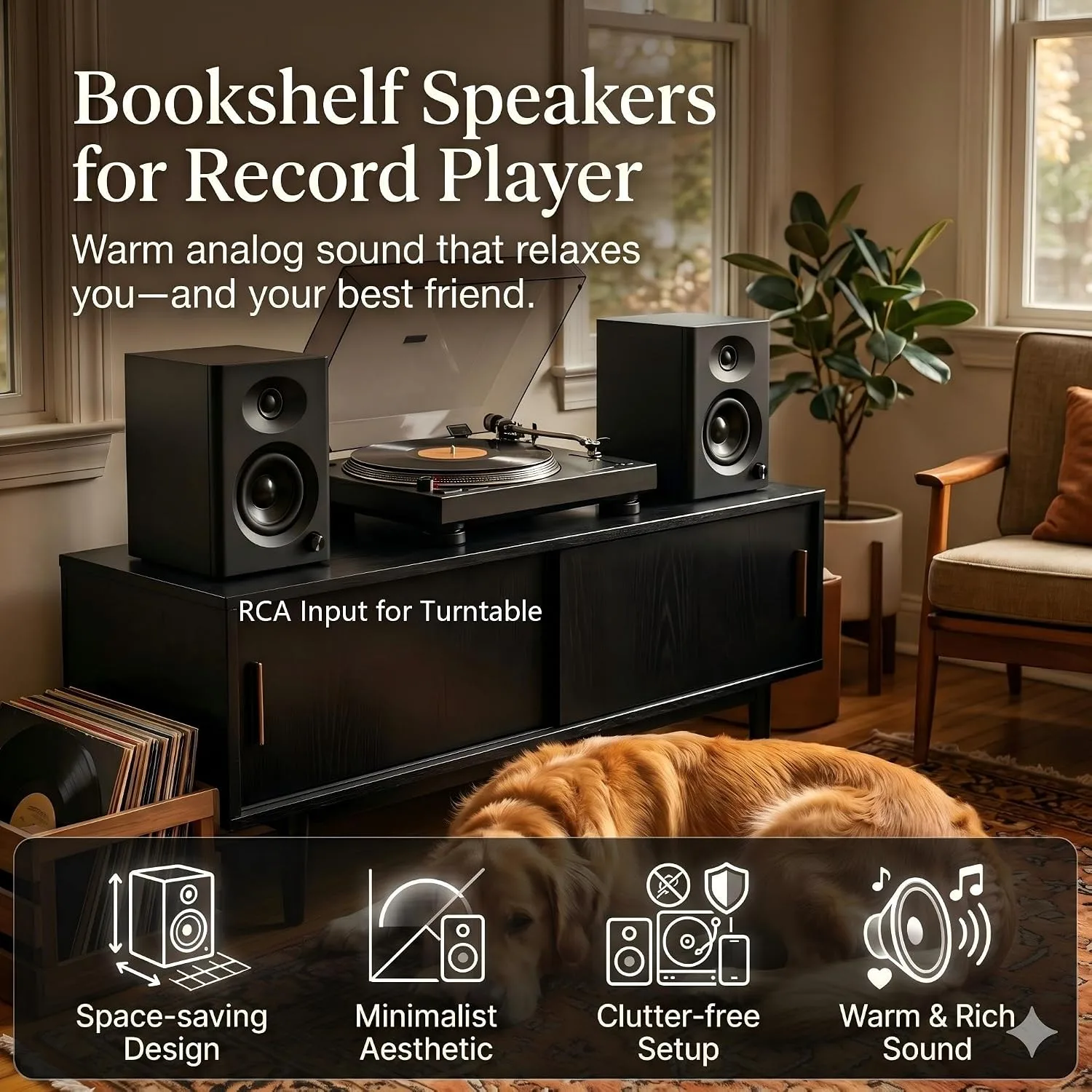 Powered Computer Speakers for Desktop PC and Music, Black Pair