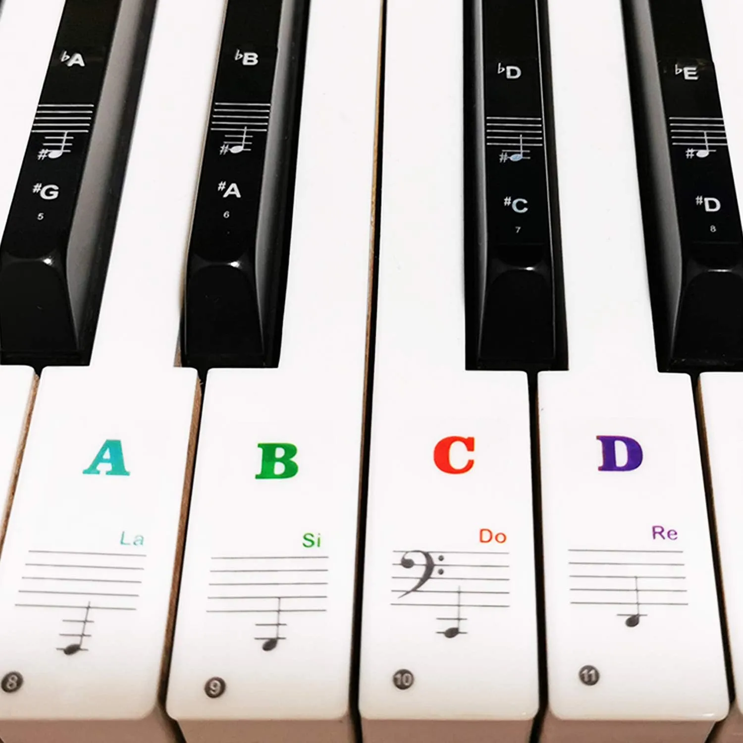 Pegatinas para Teclado de Piano Coyaho para 88/61/54/49/37 teclas Multicolor