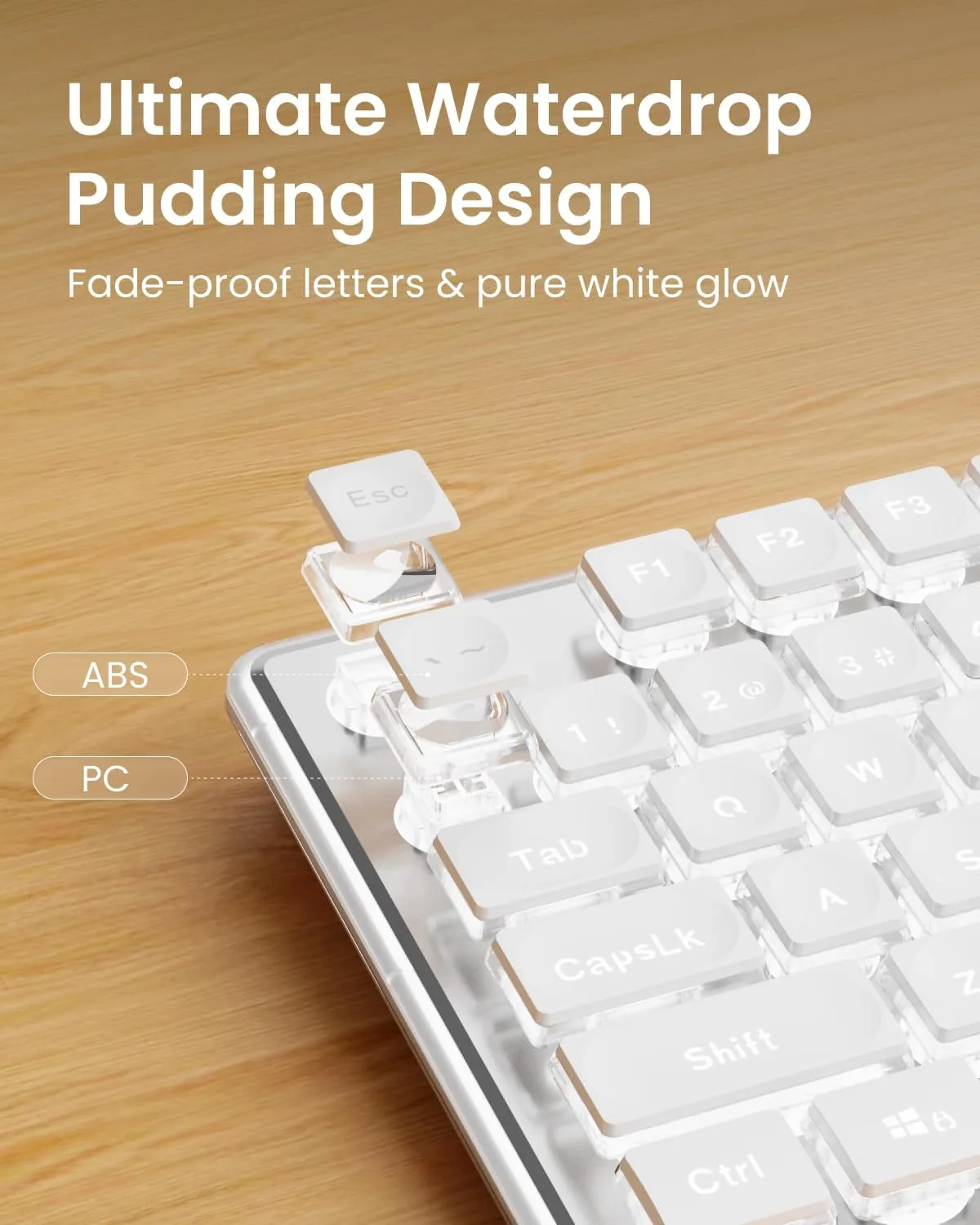 Wired Keyboard with White Backlit, Never Fade, Soft Click Typing, White