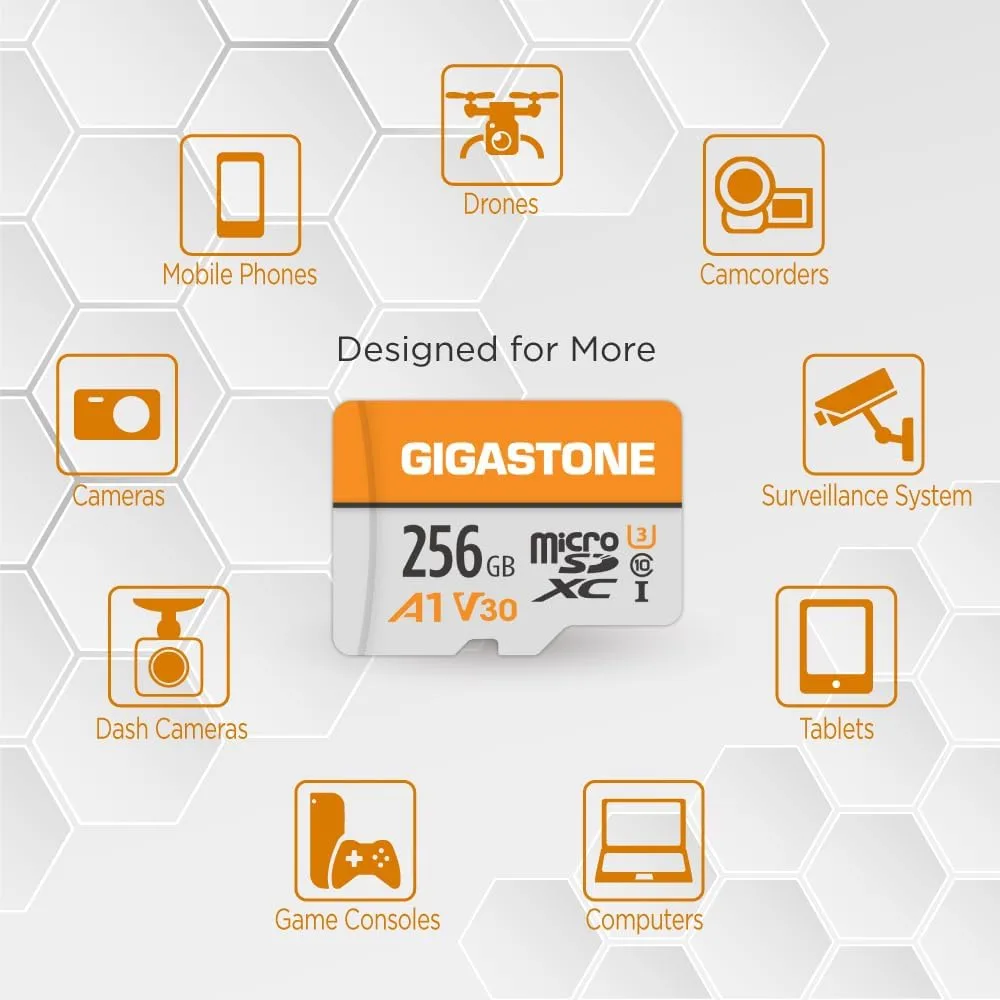GIGASTONE 256GB Micro SD Card, A1 V30 4K Video Recording, MicroSDXC Memory Card for Nintendo-Switch, Wyze, Dash Cam, Security Camera,UHS-I U3 C10, up to 100MB/s, with Adapter