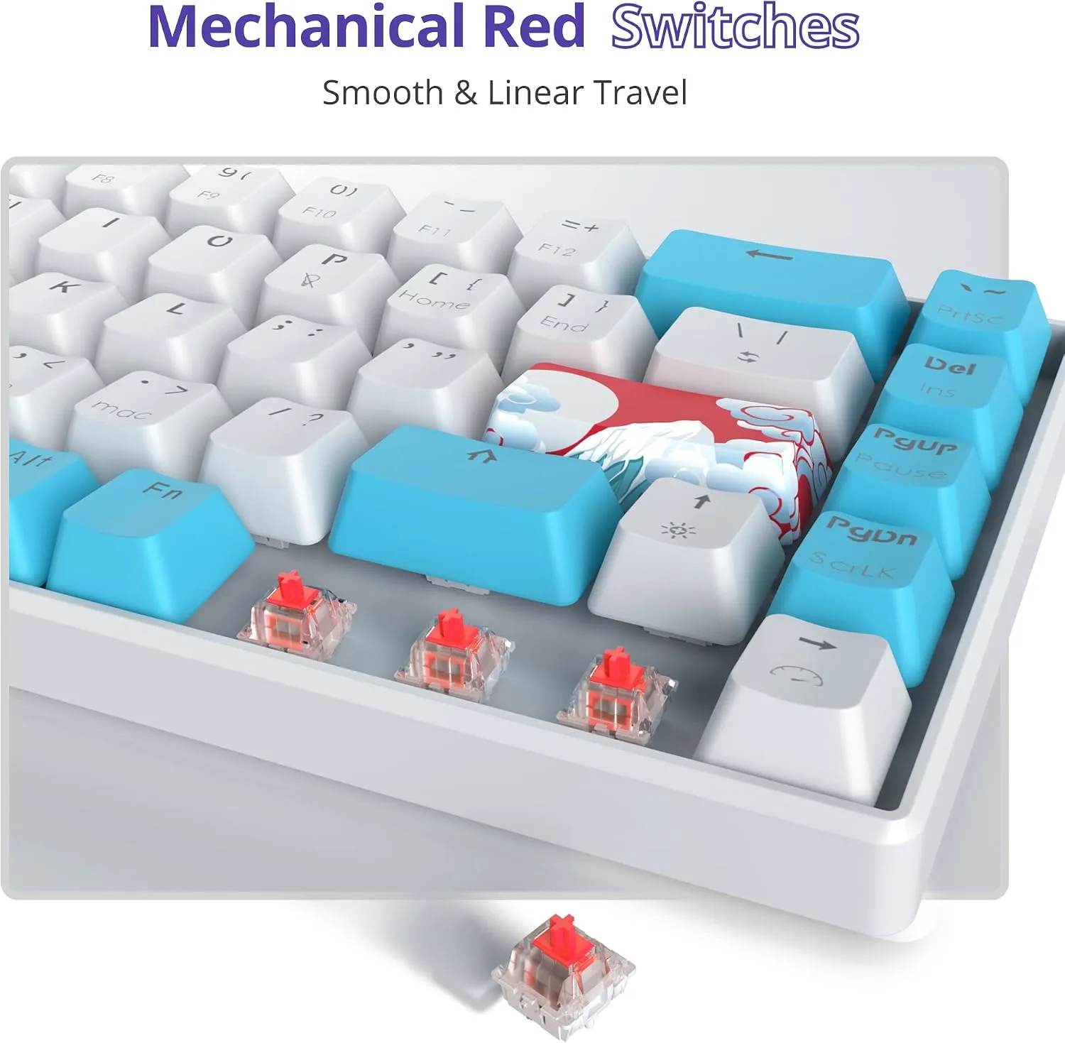 Owpkeenthy Portable 60% Mechanical Gaming Keyboard, Ultra Compact RGB Wired 65 Percent Mini Office Keyboard Backlit with Red Switch for PC/PS5/XBOX(Blue/ 68 Red Switch)