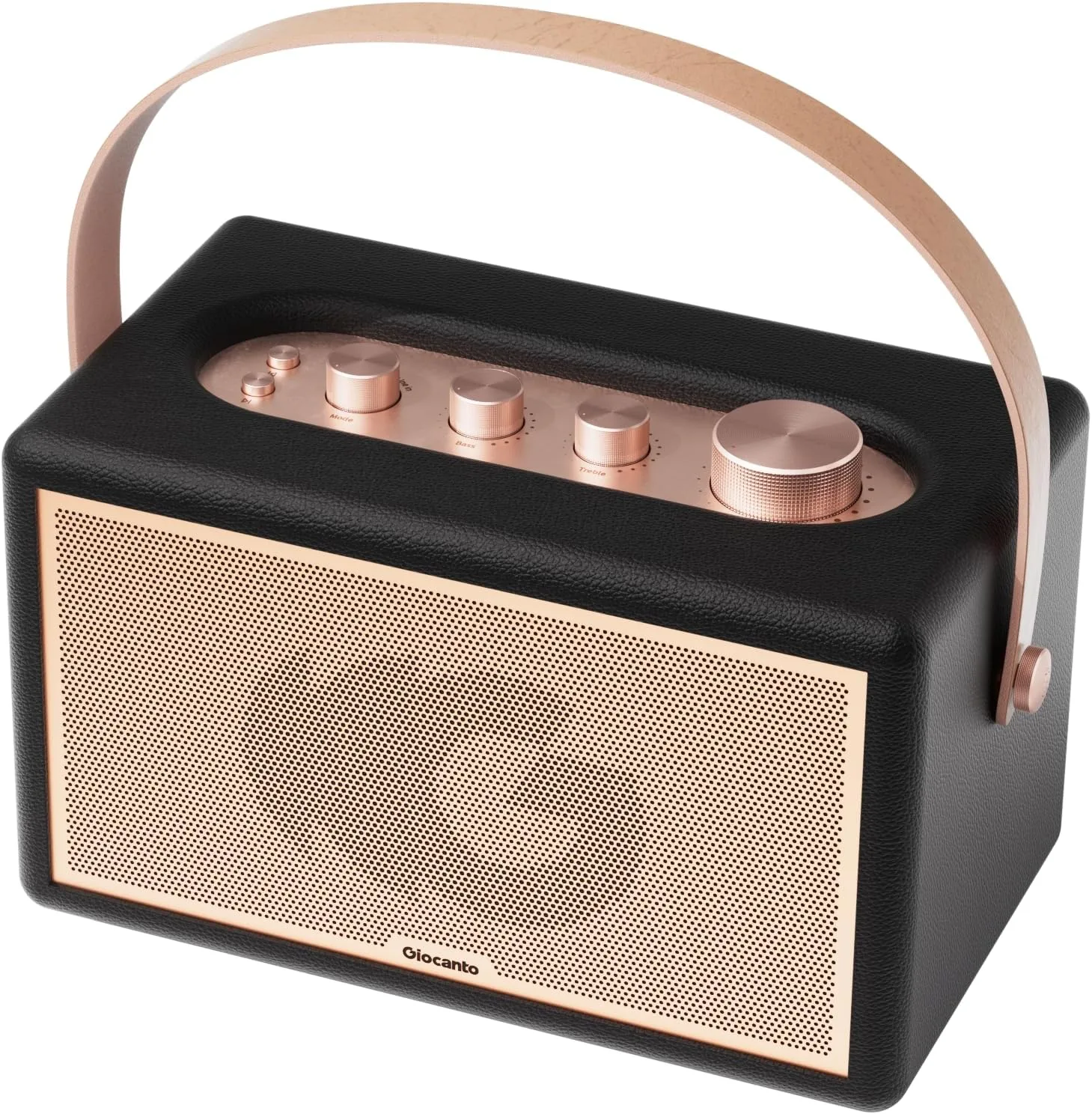 Portable Bluetooth Speaker, 100W Peak Power Home Speaker with 36H Playtime
