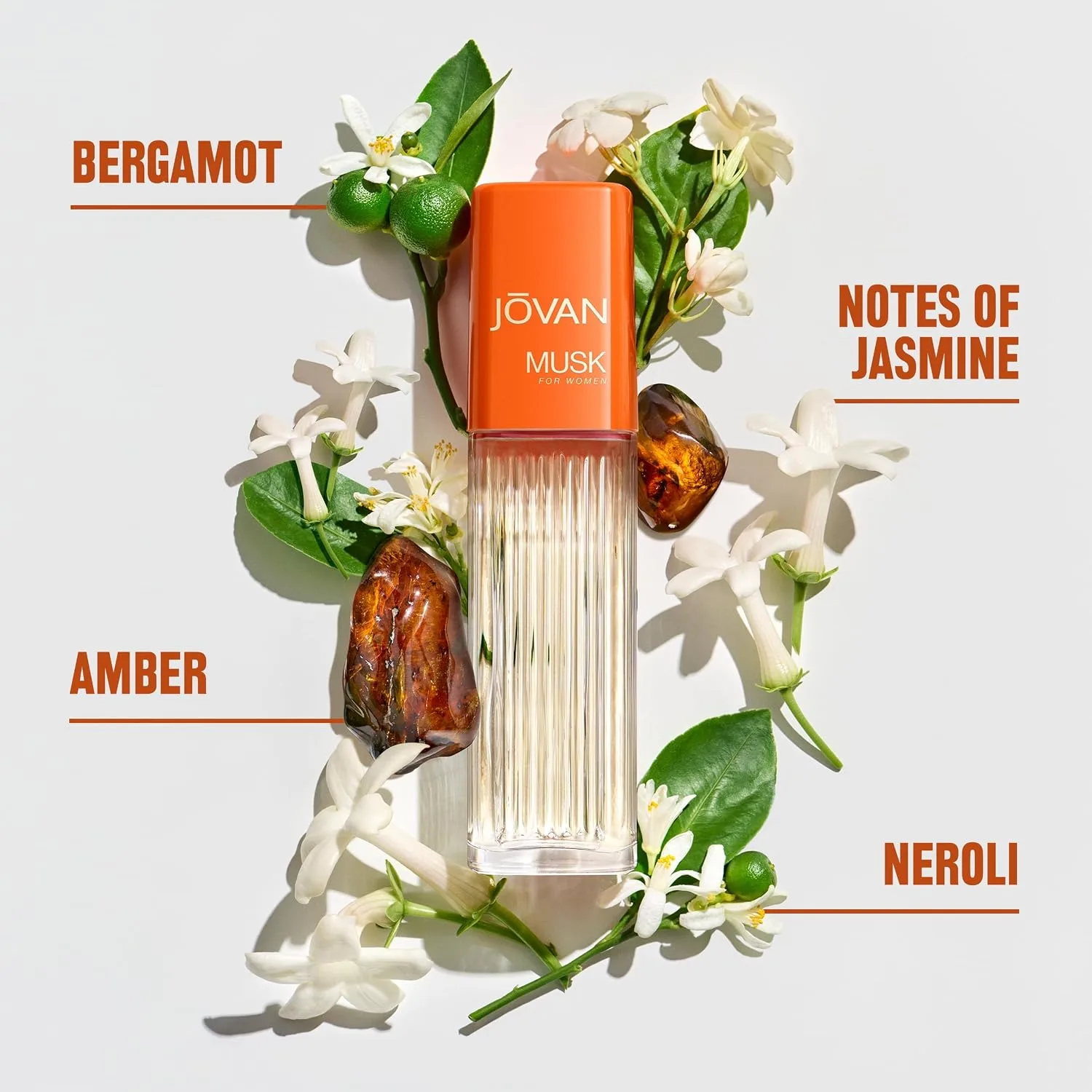 Jovan Musk for Women Eau de Cologne Spray 2 fl oz (Pack of 1), Sexy Perfume for Women, Notes of Jasmine, Amber, and Neroli, Women's Fragrance, Long Lasting, Everyday Fragrance, Travel Size