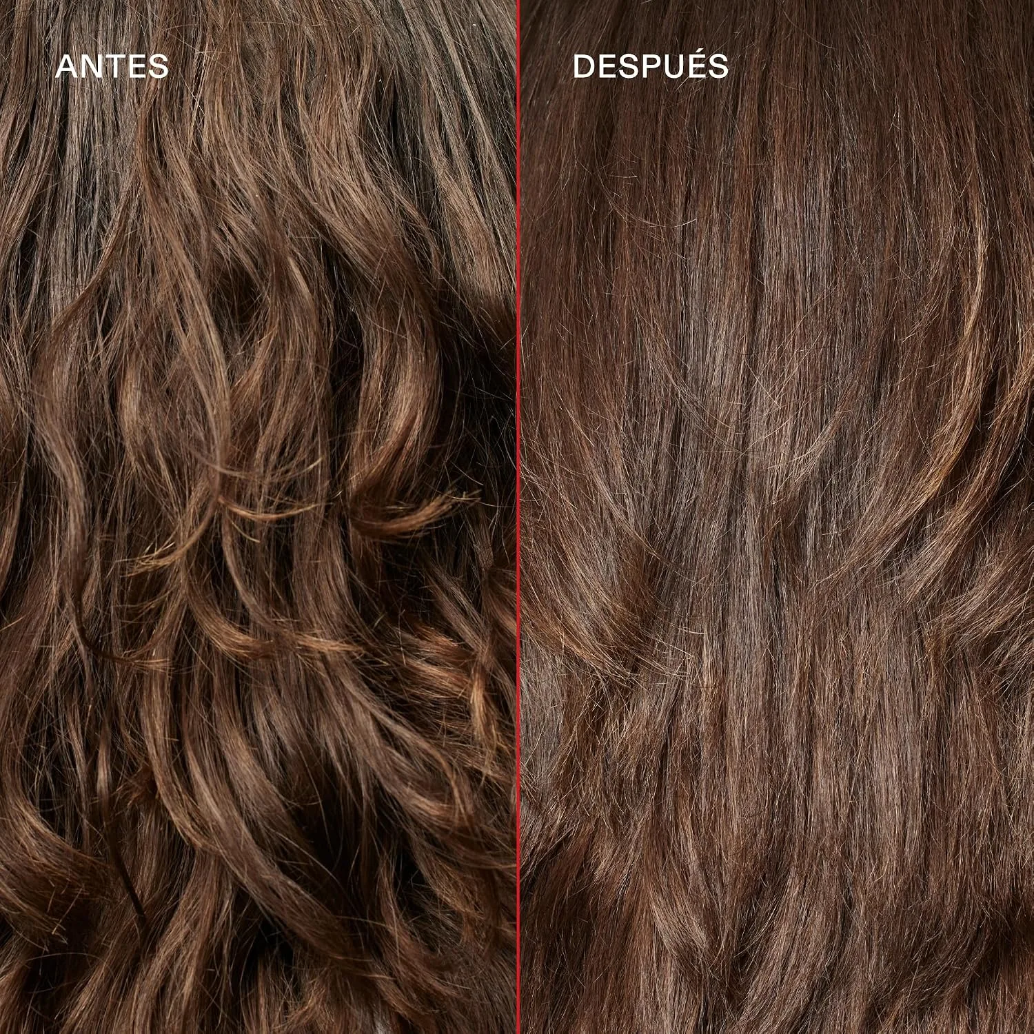 Olaplex Wash & Shine Hair Kit