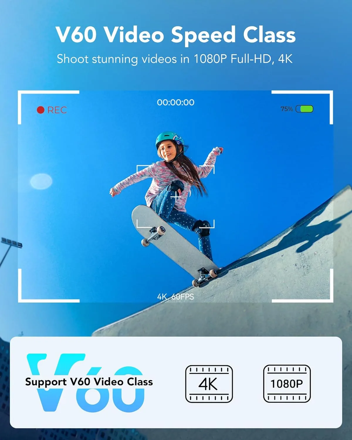 Lexar 256GB 2-Pack Silver PRO SD Card, 280MB/s Read, 4K, V60, U3, UHS-II