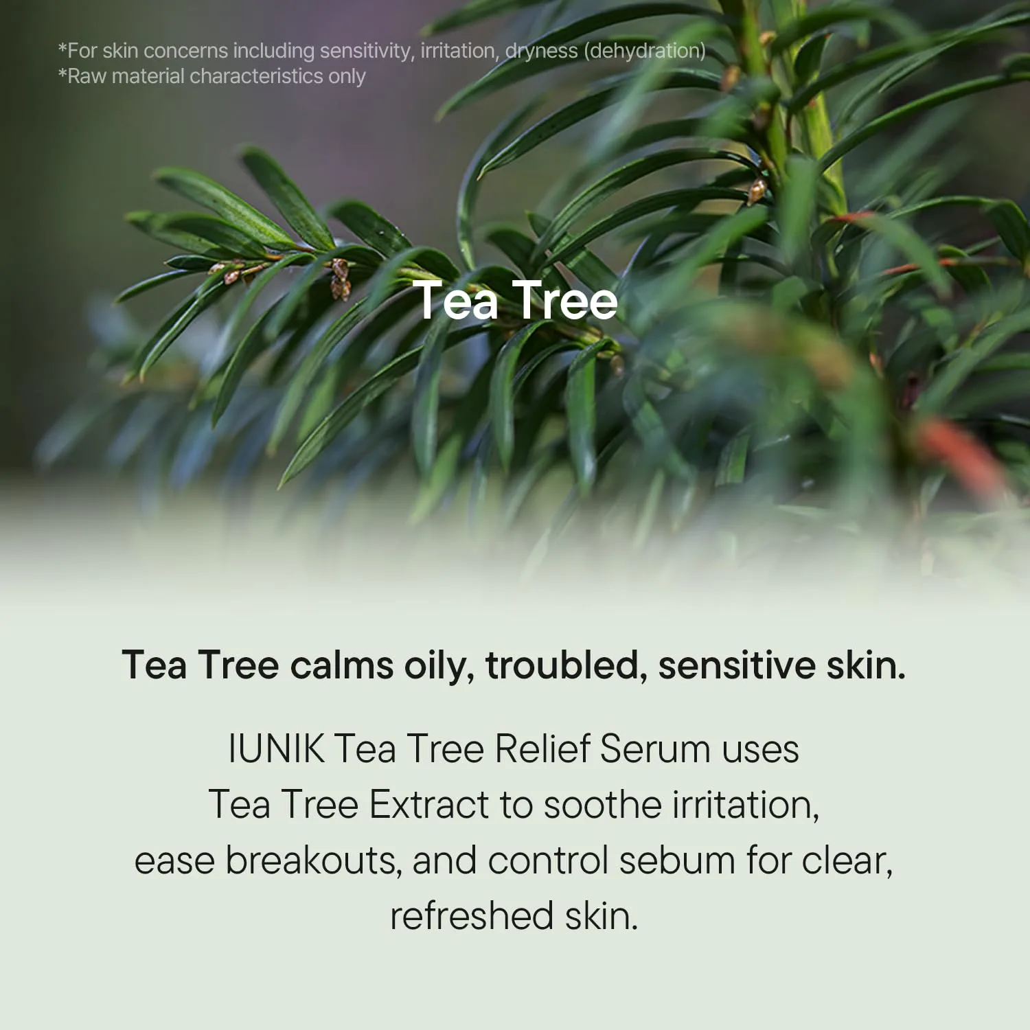 IUNIK Tea Tree Relief Serum - Calming & Hydrating Ampoule 1.69 fl oz