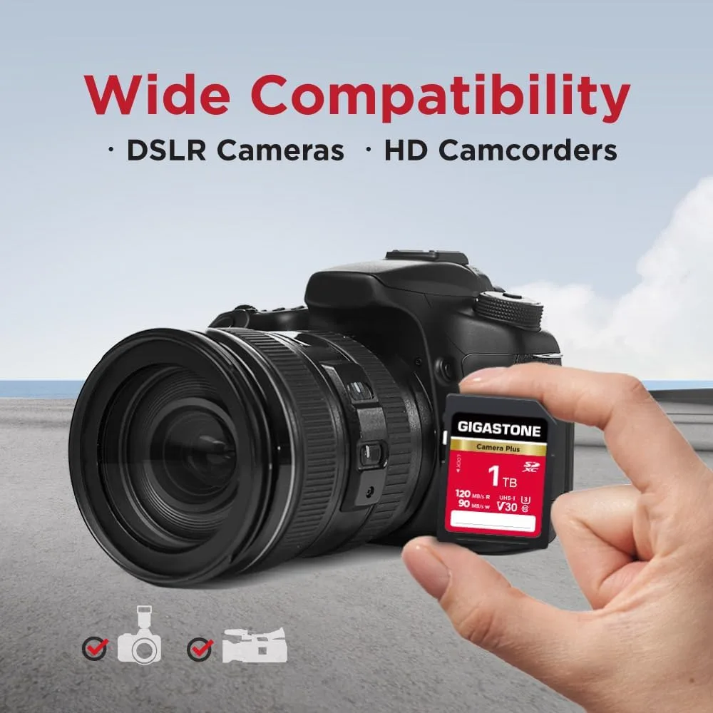 GIGASTONE 1TB SD Card, Camera Plus, Speed Up to 120MB/s, UHS-I V30 SDXC Memory Card High Speed UHD Video Compatible with Kodak Olympus Digital Camera, with 1 Mini case
