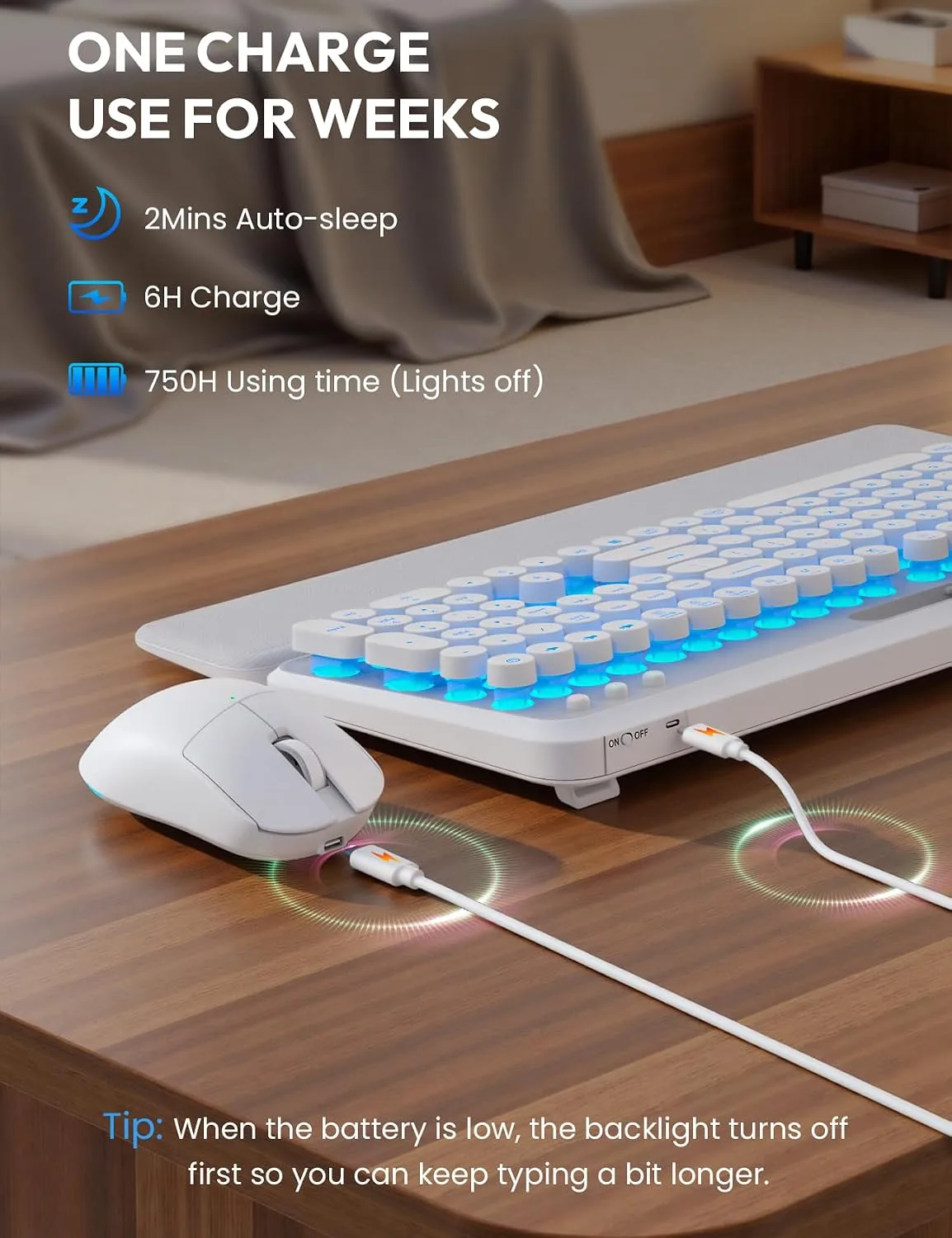 Wireless Keyboard and Mouse, Backlit Typewriter with Magnetic Wrist Rest