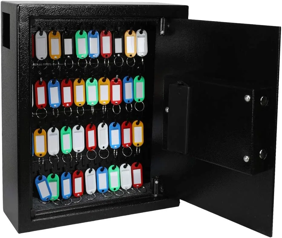 KYODOLED Digital Key Box, Wall Mount 40 Key Cabinet with Key Tags, Black