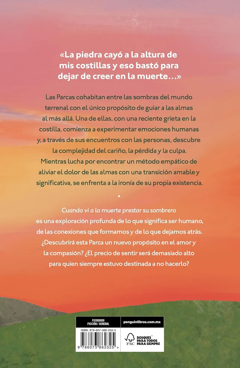 Cuando vi a la muerte prestar su sombrero / When I Saw Death Lend Its Shadow (Spanish Edition)