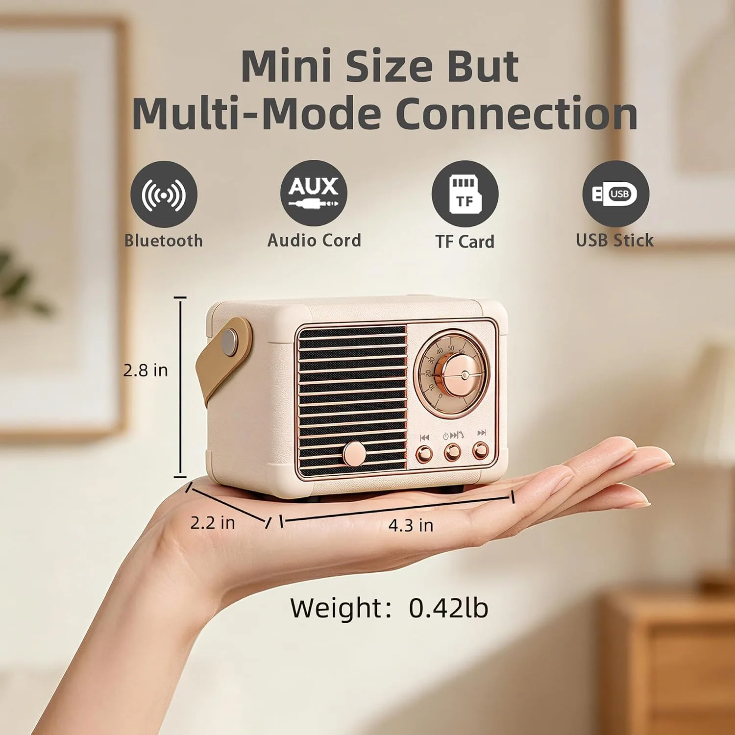 Baolira Retro Bluetooth Speaker, Vintage Decor, Birthday Gifts for Women