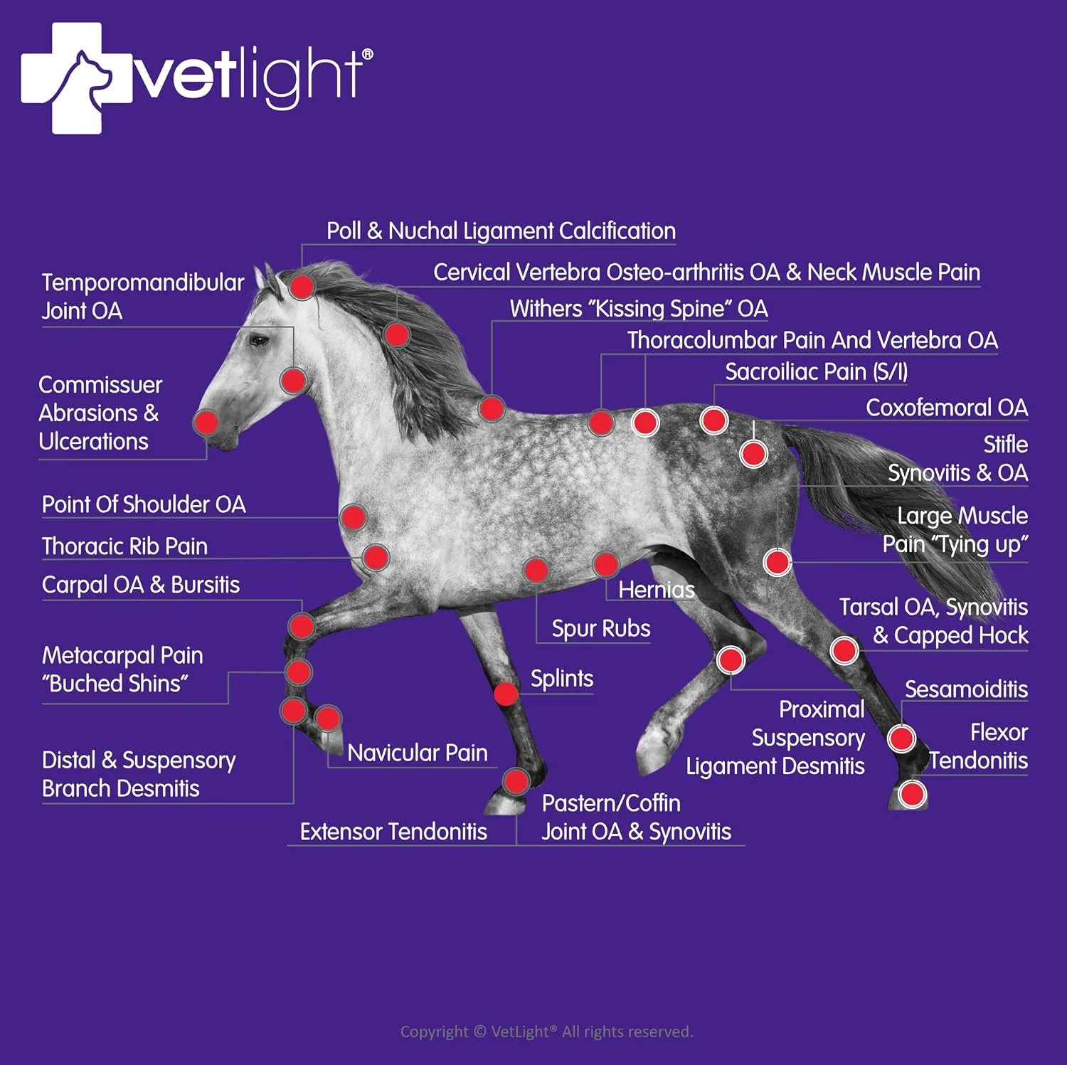 VETLIGHT® Red & Infrared LED Therapy for Pets with DeepPower™ by Shine®