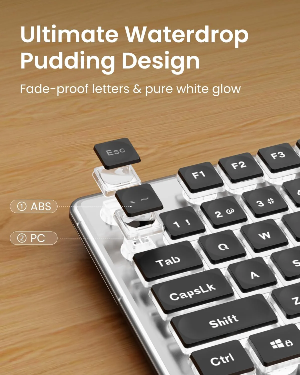 Wired Keyboard with White Backlit, Never Fade, Soft Click Typing, Black