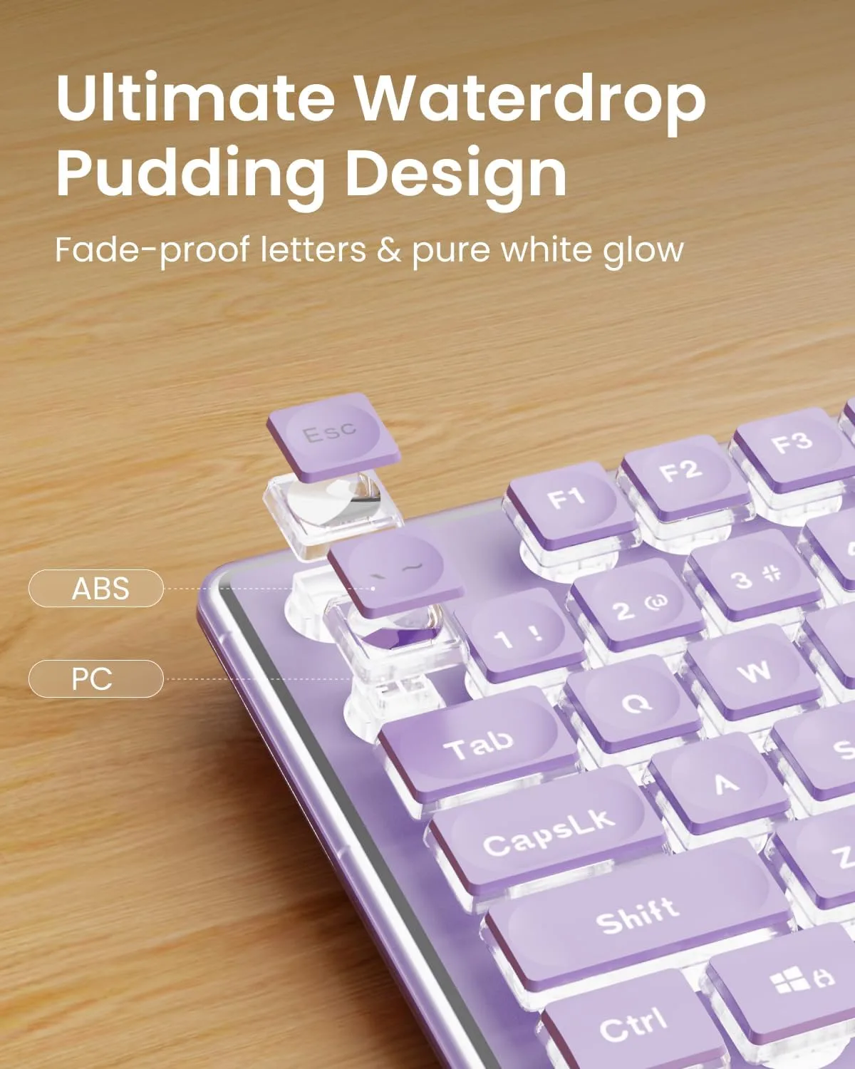 Wired Keyboard with White Backlit, Never Fade, Soft Click Typing, Purple