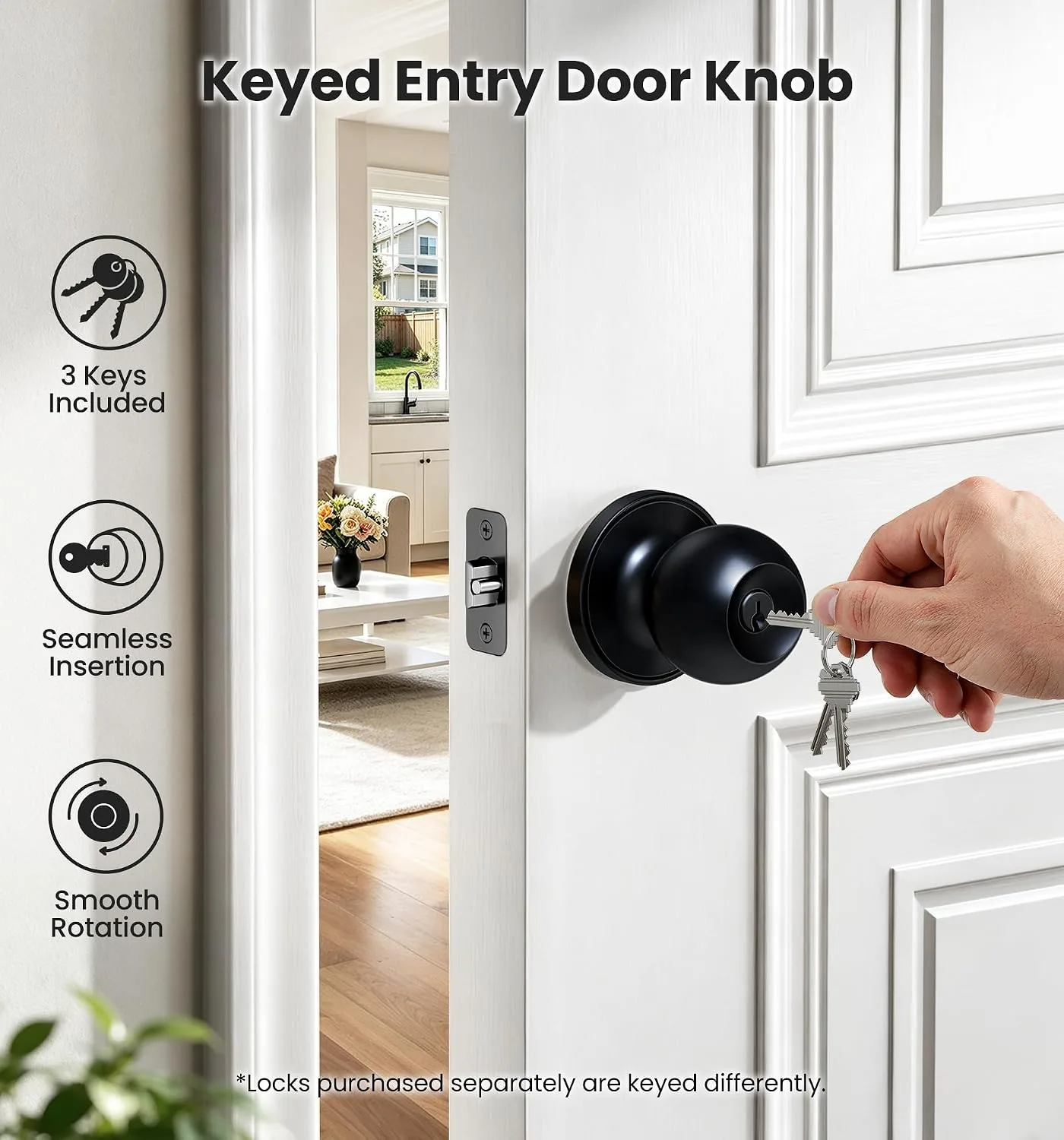 Veise Keyed Entry Door Knob with Lock for Exterior Interior, Matte Black