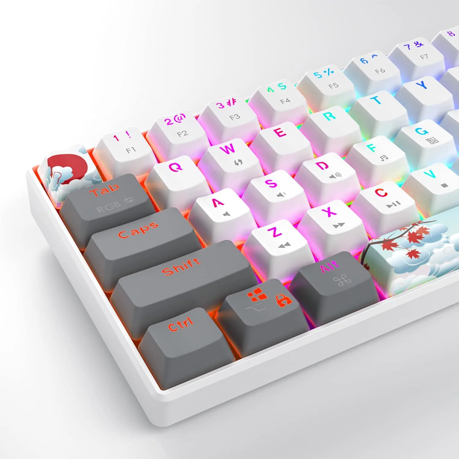 Owpkeenthy RGB Mechanical Keyboard 60 Percent Red Switches