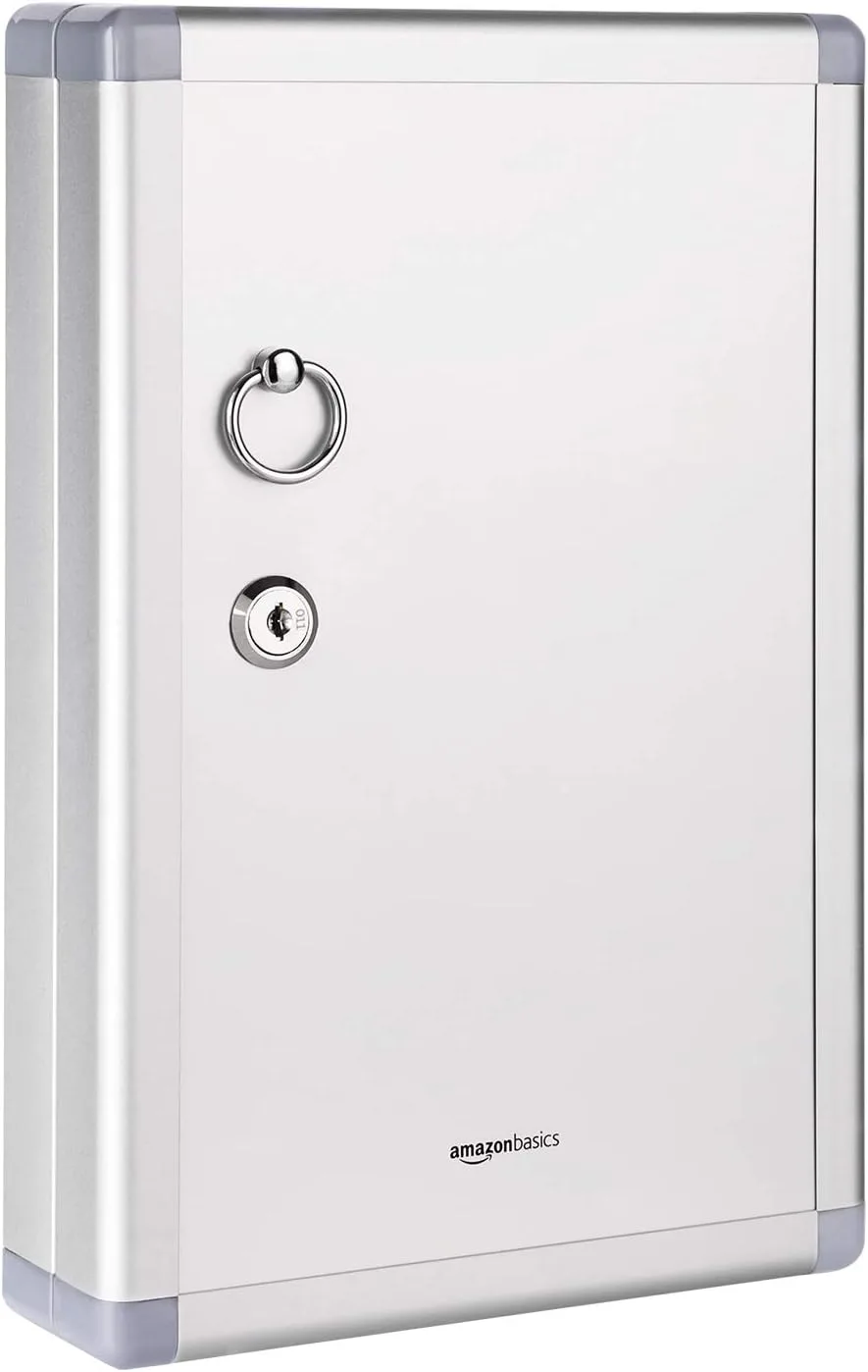 Amazon Basics Cabinet Key lock Box, Silver, 12.5"D x 8.5"W x 2.45"H