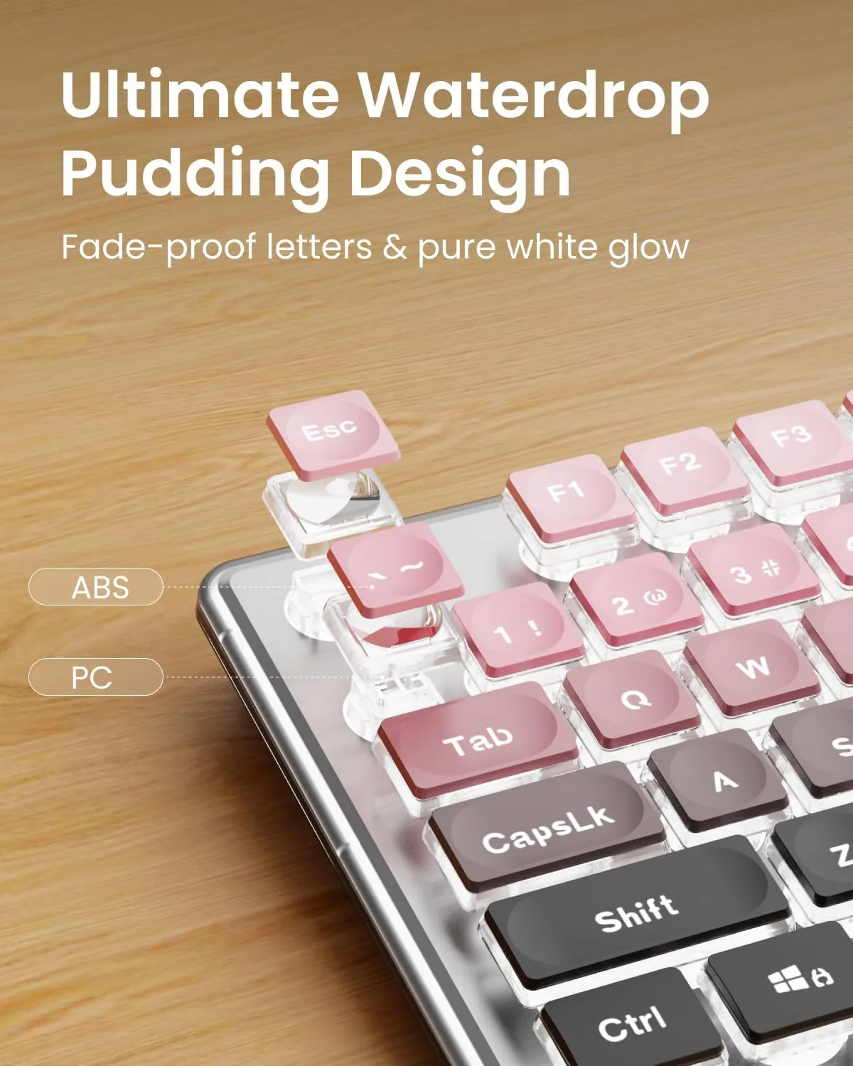 Wired Keyboard with White Backlit, Never Fade, Soft Click, Black Ombré