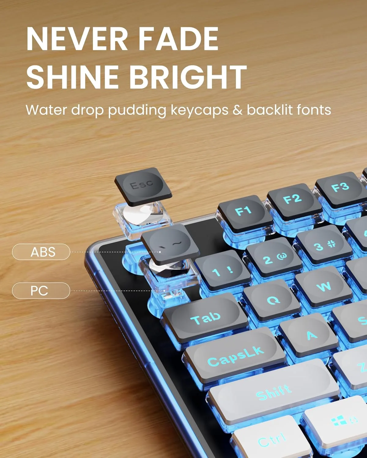Wired Keyboard with RGB Backlit, Never Fade, Soft Click Typing, Black